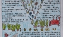 读书二等奖手抄报_畅游书海