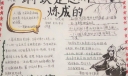 钢铁是怎样炼成的手抄报图片