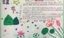 端午节手抄报获奖作品大全