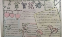多姿多彩的植物世界手抄报