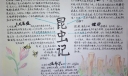 简单漂亮的昆虫记手抄报，隧蜂大孔雀蝶负葬甲螳螂