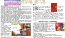 新学期新气象word手抄报