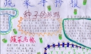 蔬菜手抄报图片