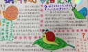 蜗牛观察日记手抄报
