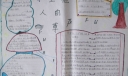 尊重他人的尊严手抄报