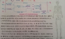 奇妙的人体手抄报