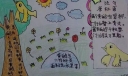 可爱的鸟类手抄报图片大全
