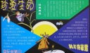 国际禁毒日板报-珍爱生命|鸦片的罪恶