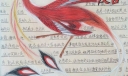 和谐法治友善手抄报