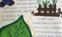 昆虫观察日记手抄报
