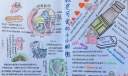 我是可爱的小细胞手抄报