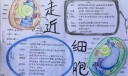 走近细胞手抄小报
