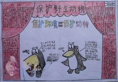 人与动物手抄报版面设计图 人与动物手抄报版面设计图