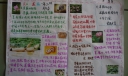 莲藕手抄报设计图