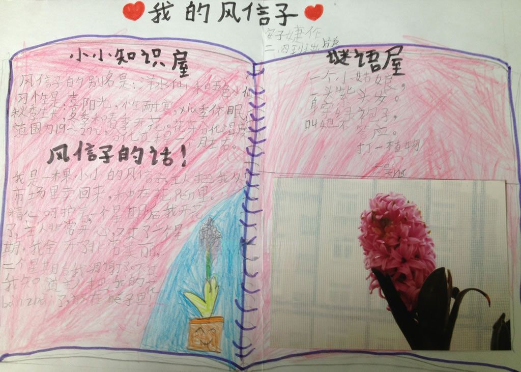 假期植物观察小报 假期植物观察小报