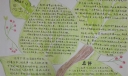法布尔《昆虫记》手抄报