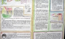 中学地理手抄报大全