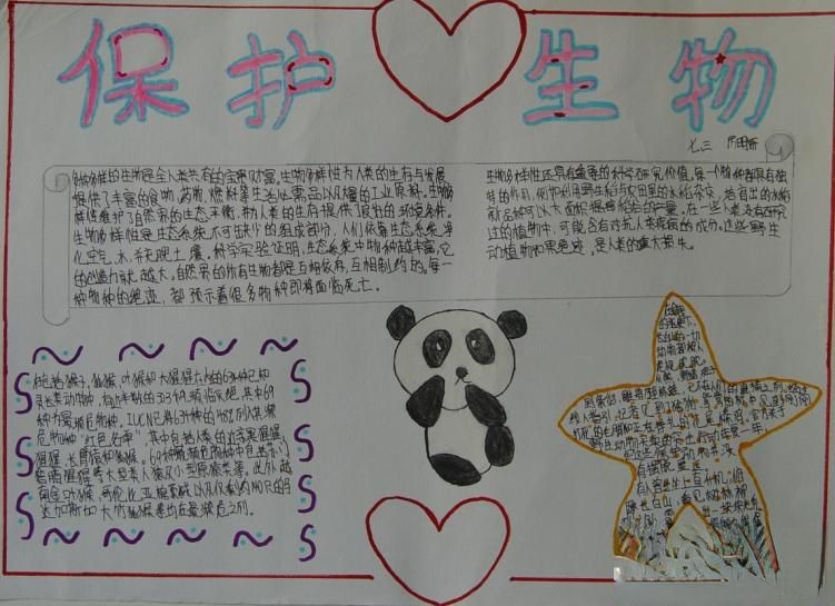 保护生物手抄报版面设计图片 保护生物手抄报版面设计图片
