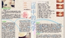 生活中的化学手抄报（word制作）