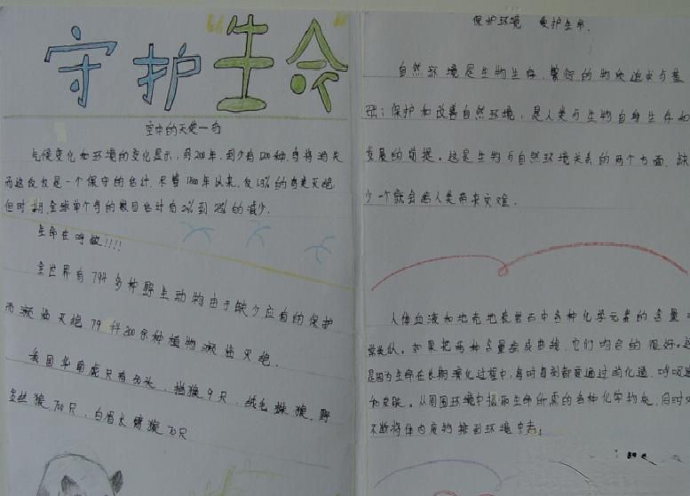 守护生命手抄报版面设计图
