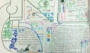 走进生物世界手抄报