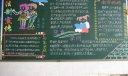 小学生法制宣传专题黑板报