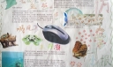 仿生小报设计图欣赏