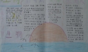 生物手抄报