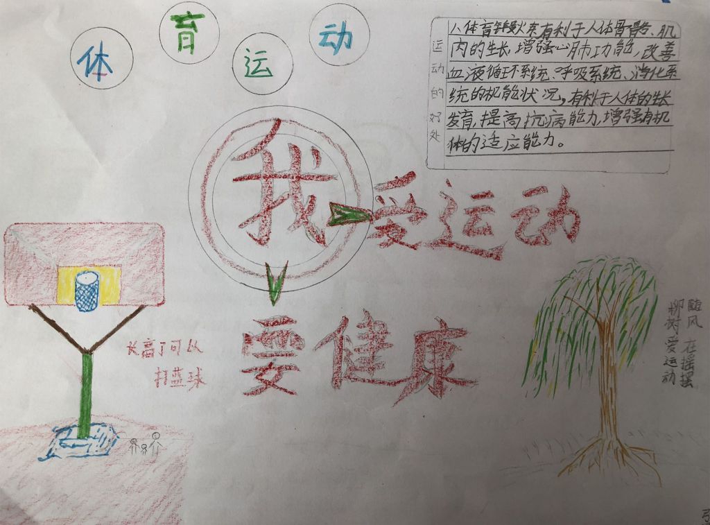 我爱运动要健康手抄报