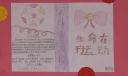 精彩纷呈的足球手抄报作品