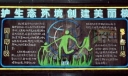 保护生态环境建设美丽校园黑板报大全
