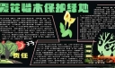 环保黑板报：爱花惜木保护绿地