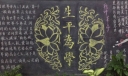 生平为学黑板报图片