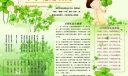 不学礼无以立手抄报
