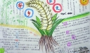 家乡巨变手抄报版式设计