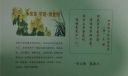 登高赏菊话重阳手抄报