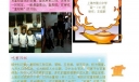今又重阳 岁岁重阳电子手抄报