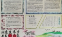 洞庭鱼米乡最美赤山岛手抄报