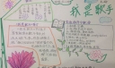 我是歌手手抄报图片