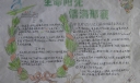 生命阳光情满邢襄手抄报