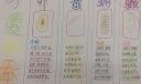 蚕宝宝的一生手抄报图片