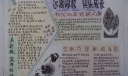 远离邪教快乐成长手抄报