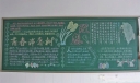 中学生理想主题黑板报：青春许愿树