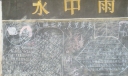 两基板报-放眼世界 展望未来