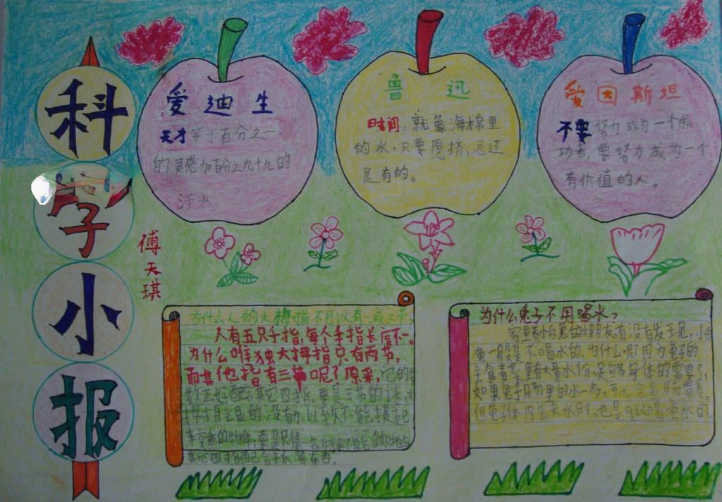 二年级身边的科学手抄报 二年级身边的科学手抄报