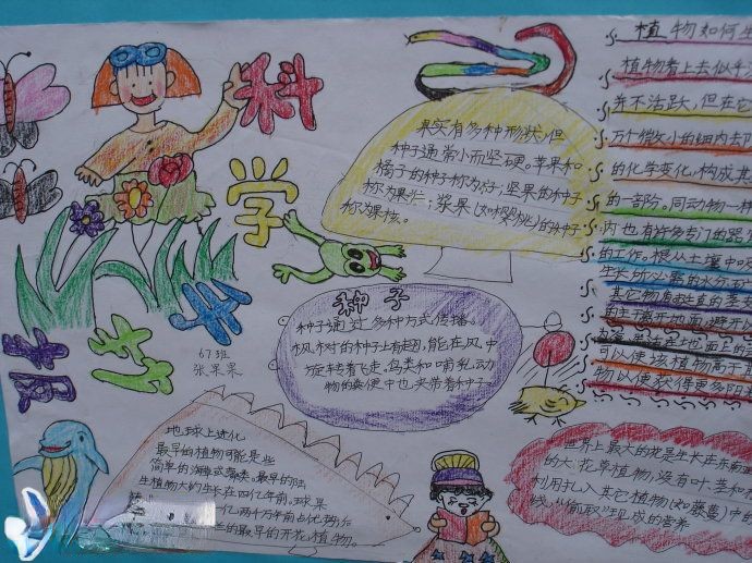 六年级科学手抄报作品 六年级科学手抄报作品