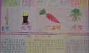 根的形态和作用手抄报图片