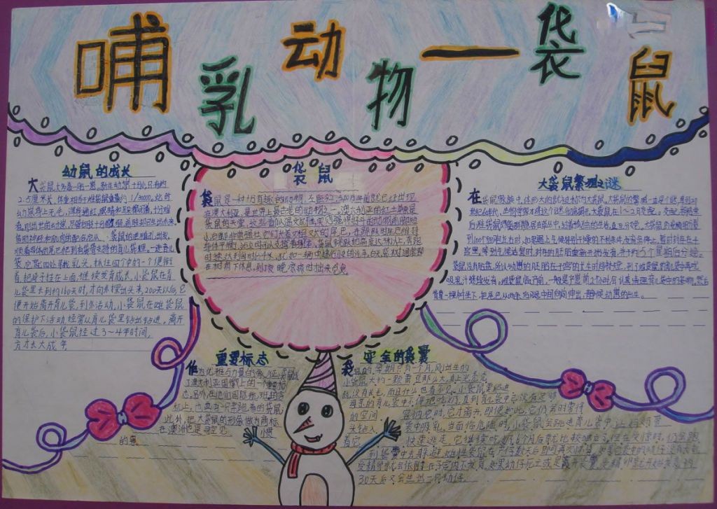 哺乳动物—袋鼠手抄报设计图欣赏