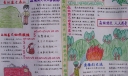 手抄报之保护森林