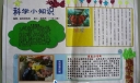科学小知识手抄报版面设计图